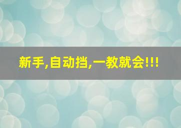 新手,自动挡,一教就会!!!