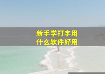 新手学打字用什么软件好用