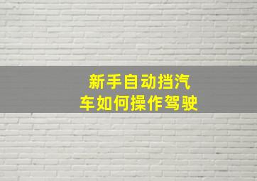 新手自动挡汽车如何操作驾驶