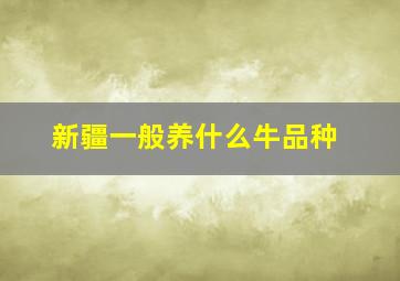 新疆一般养什么牛品种