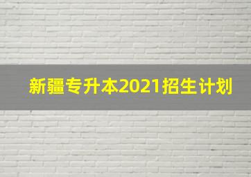 新疆专升本2021招生计划