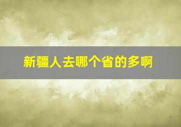 新疆人去哪个省的多啊