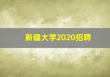 新疆大学2020招聘