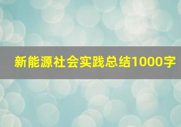 新能源社会实践总结1000字