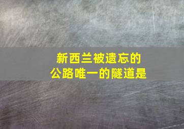 新西兰被遗忘的公路唯一的隧道是