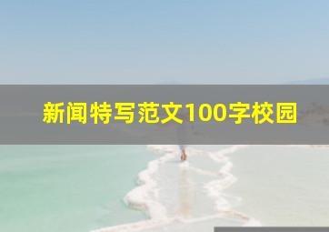 新闻特写范文100字校园