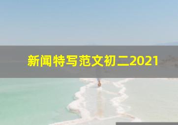 新闻特写范文初二2021