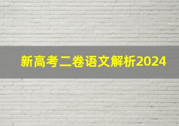 新高考二卷语文解析2024