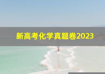 新高考化学真题卷2023