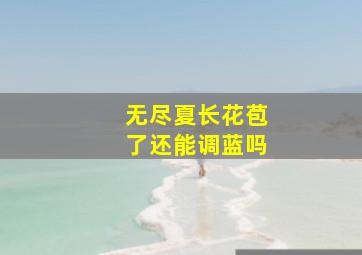 无尽夏长花苞了还能调蓝吗