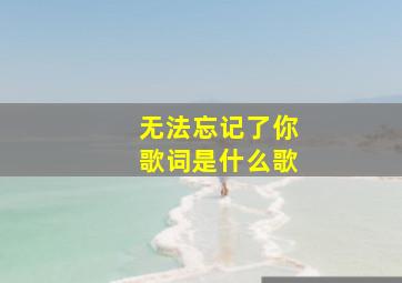 无法忘记了你歌词是什么歌