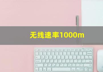 无线速率1000m