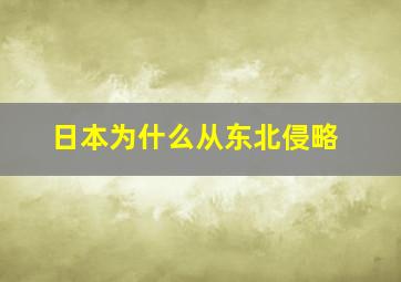 日本为什么从东北侵略