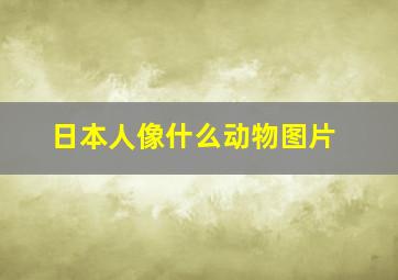 日本人像什么动物图片