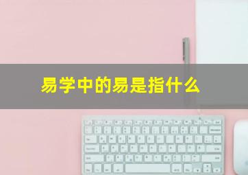 易学中的易是指什么