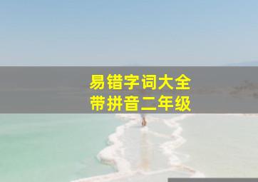 易错字词大全带拼音二年级