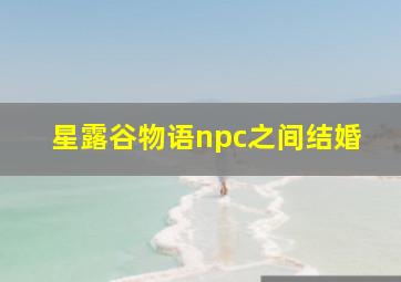 星露谷物语npc之间结婚