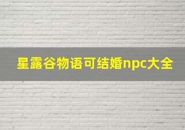 星露谷物语可结婚npc大全