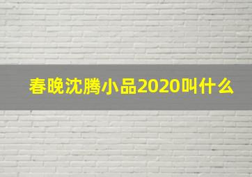 春晚沈腾小品2020叫什么