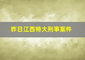 昨日江西特大刑事案件