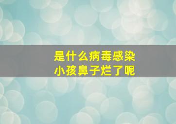 是什么病毒感染小孩鼻子烂了呢