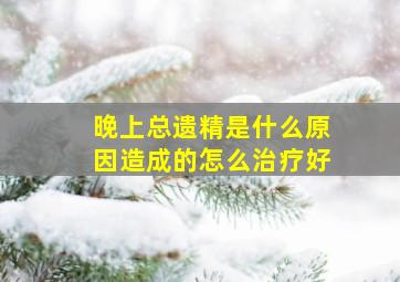 晚上总遗精是什么原因造成的怎么治疗好