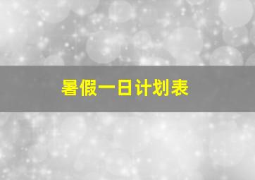 暑假一日计划表