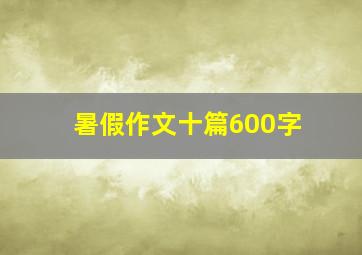 暑假作文十篇600字