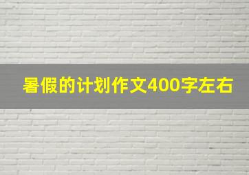 暑假的计划作文400字左右