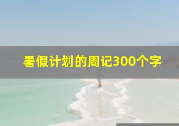 暑假计划的周记300个字