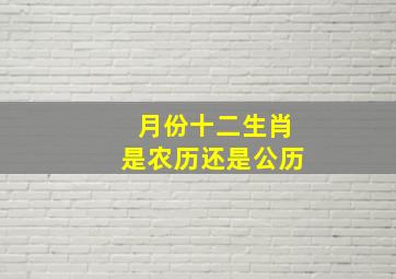 月份十二生肖是农历还是公历