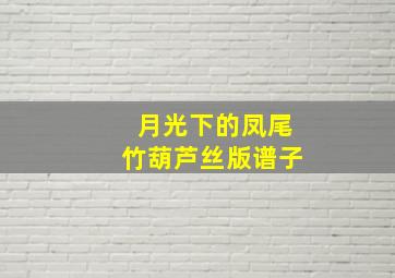 月光下的凤尾竹葫芦丝版谱子