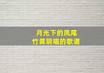 月光下的凤尾竹龚玥唱的歌谱