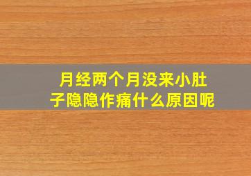 月经两个月没来小肚子隐隐作痛什么原因呢