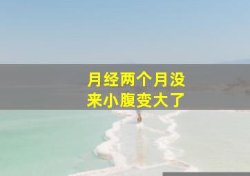 月经两个月没来小腹变大了