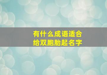 有什么成语适合给双胞胎起名字