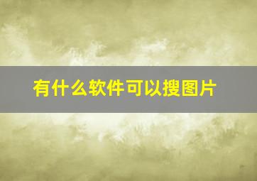 有什么软件可以搜图片