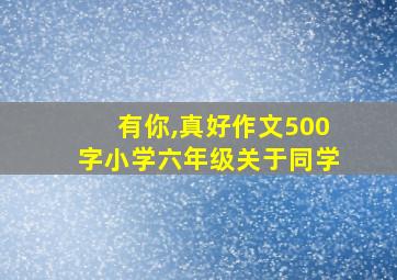 有你,真好作文500字小学六年级关于同学