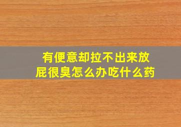 有便意却拉不出来放屁很臭怎么办吃什么药