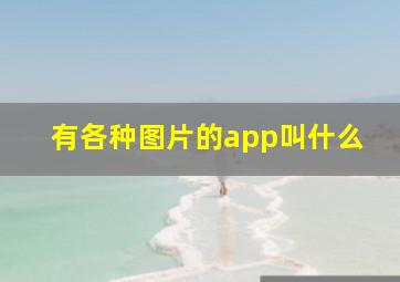 有各种图片的app叫什么