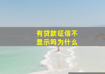 有贷款征信不显示吗为什么