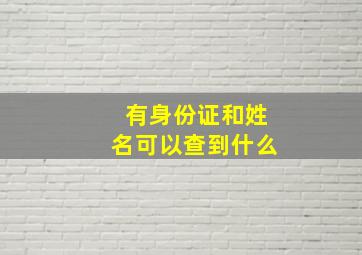 有身份证和姓名可以查到什么