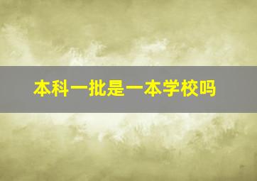 本科一批是一本学校吗