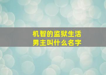 机智的监狱生活男主叫什么名字