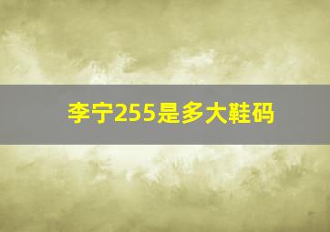 李宁255是多大鞋码