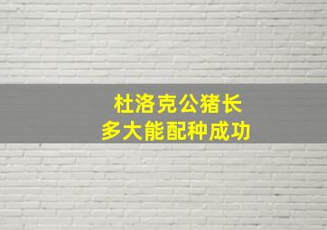 杜洛克公猪长多大能配种成功