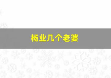 杨业几个老婆