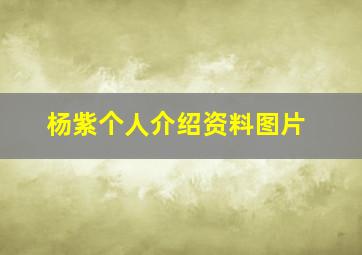 杨紫个人介绍资料图片