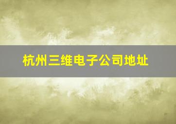 杭州三维电子公司地址