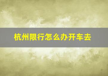 杭州限行怎么办开车去